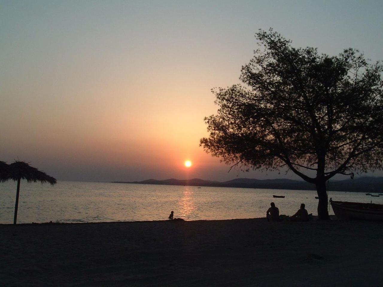 Finikas Garden Beach Resort Nikiti 외부 사진